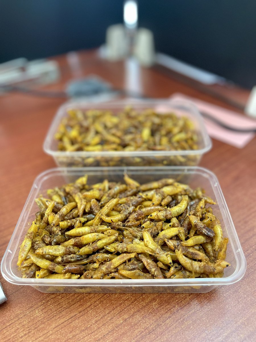 IshengomaIrene's tweet photo. #IshengomasSenene karibu ujiongezee protini mwilini kwa kula #Senene bora, tamu, fresh kutoka kwetu ✨🔥
Package kuanzia Tshs 10,000/=, 15,000/= na kuendelea.
☎️ 0679064914 Karibu tukuhudumie
🛵 Delivery inafanyika (utalipia).
NB: Bei ya #Senene sawa na #Bukoba ☺️ https://t.co/a4we9xluDx