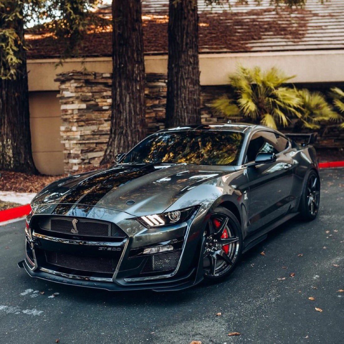 Cobra3dD's tweet photo. “ Mustang Monday “ https://t.co/ETrrar8Kr0