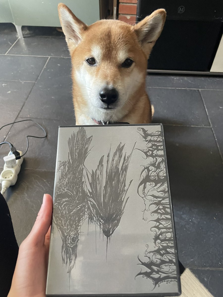 Vkeimo's tweet image. Guys hachi got me this for christmas, rate the gift /10 #mmetwt #vkeitwt #Christmas2024 😘