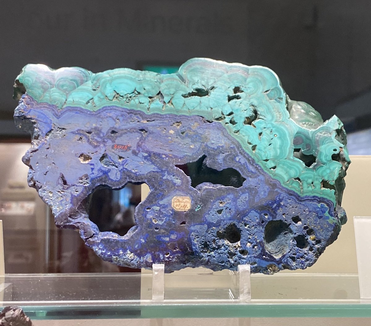 Erika Anderson tweet media