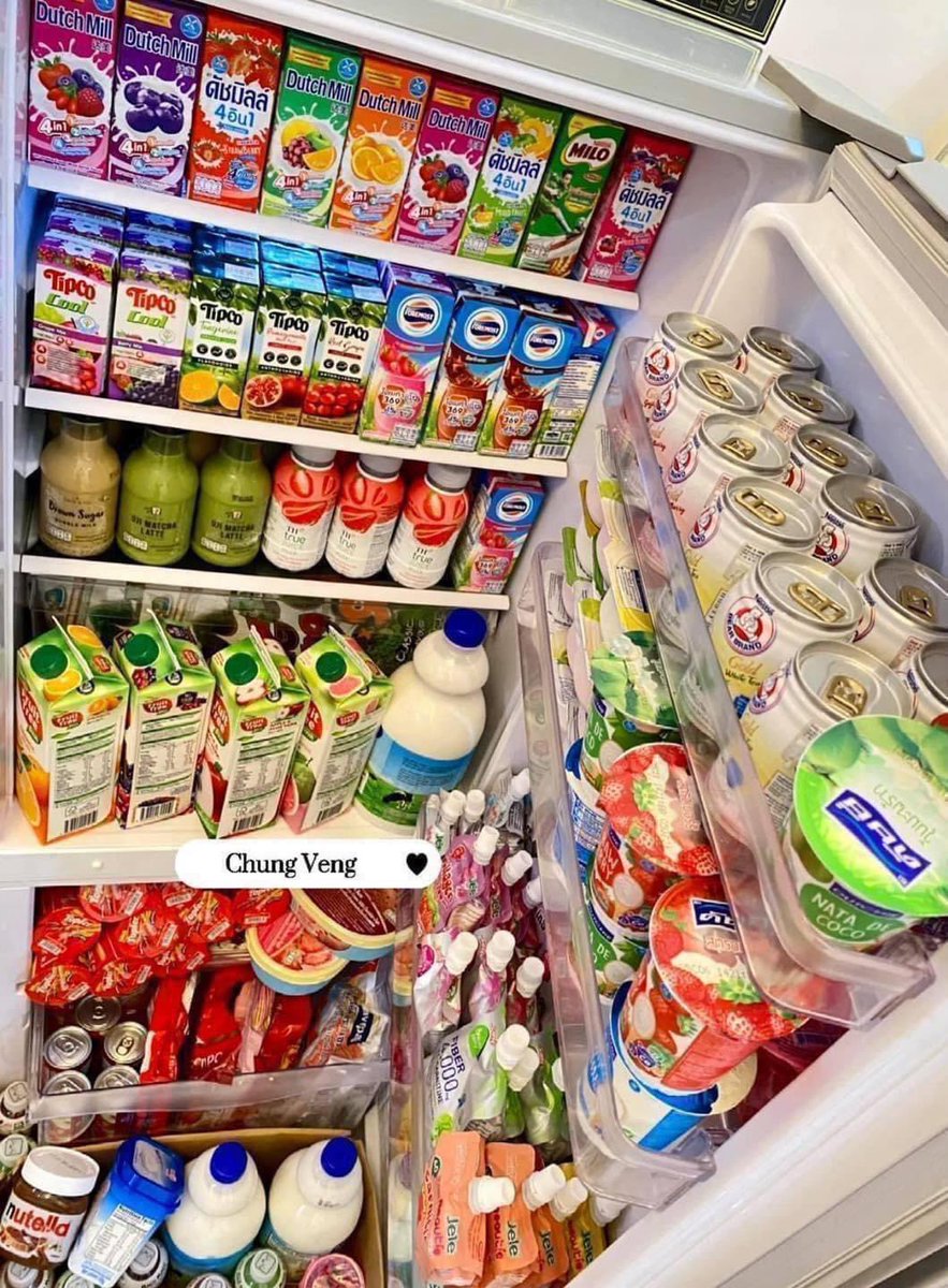 ตู้เย็นในฝัน ( :