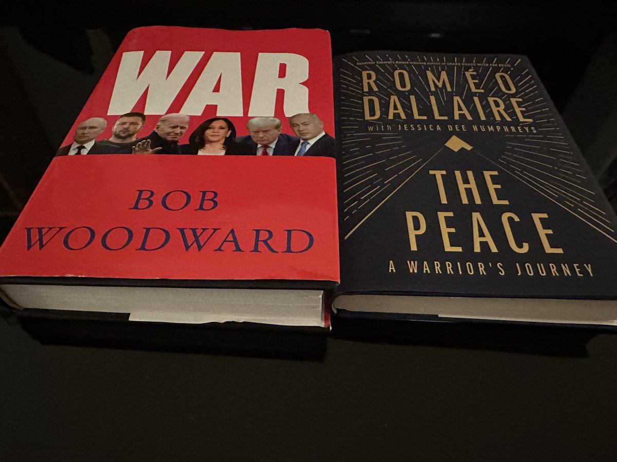 is it weird to choose your book-reading order primarily based on the appeal of visual puns?