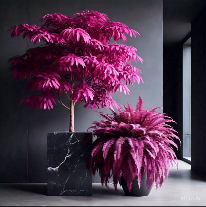 SkiddyJim's tweet photo. I'm excited to announce on this #MagentaMonday that I'll soon be selling seeds on #MarkZuckerberg's #Facebook. After many painstaking years in development, this #Schefflera and #BostonFern will introduce #gardeners to my Magentalicious™ #houseplants collection. 
🎉💰💰💰💰💰🎉 https://t.co/d5cd5HjcUd