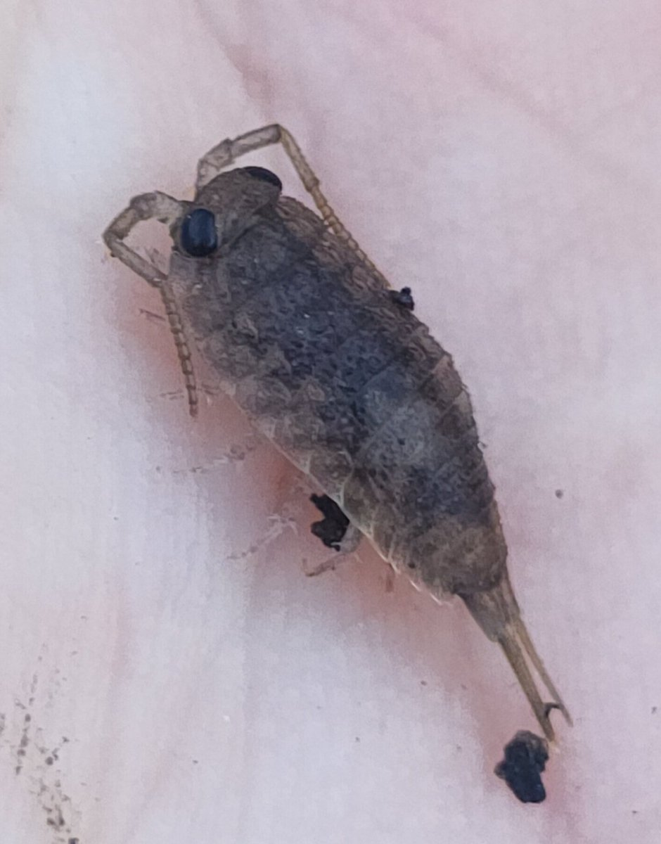 𝓓𝓪𝔀𝓲𝓭_𝓜𝓪𝓻𝓽𝔂𝓷𝓲𝓾𝓴 𓆨𓆣🇵🇱🇬🇧 tweet media