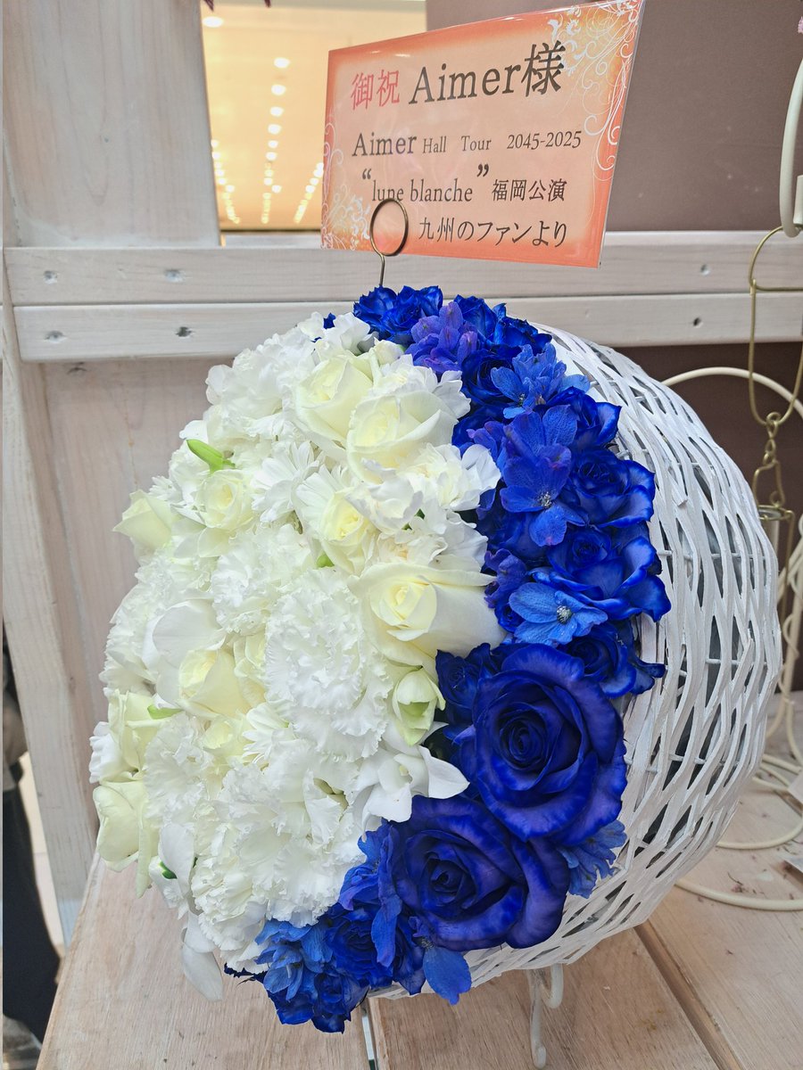 🐾🦁はとあ🦁🐾 tweet media