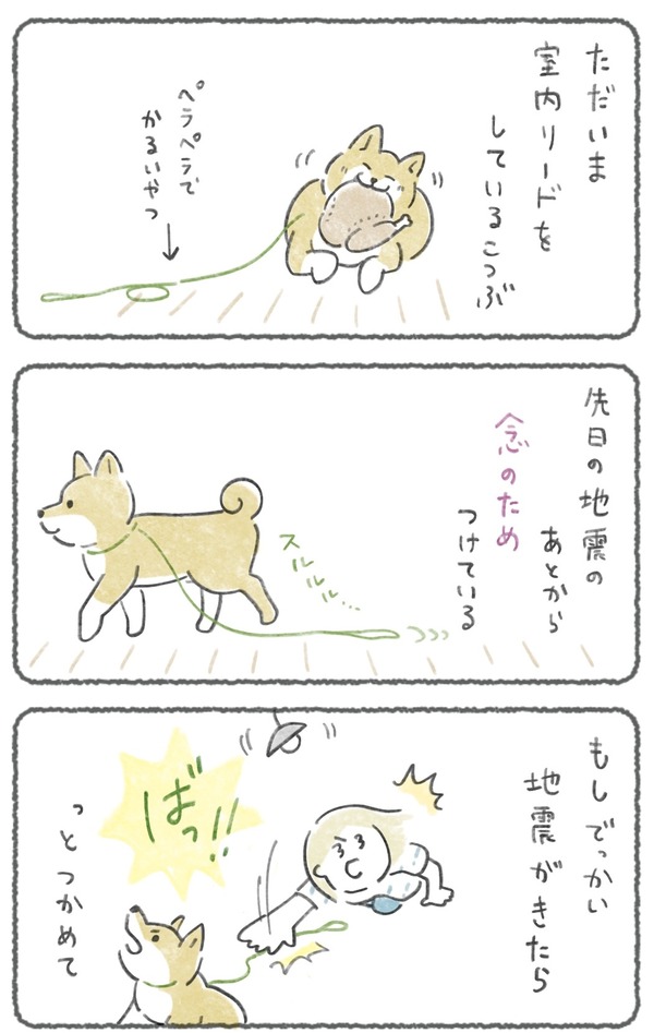 大きめ地震が来たら、次あるかも..に備えて数日これをしています。
室内犬でもパニックになって割れた窓などから外へ出て迷子になった子がいっぱいいたんです。
みんな、無事でいてね🫶 