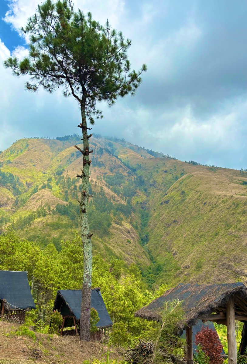 ayla (@rotisalju) on Twitter photo 