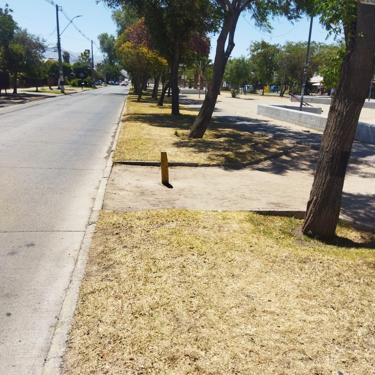 02jpvo's tweet photo. @Muni_Maipu @TomasVodanovic  @CiudadanoMaipu @lavozdemaipu 
#maipu
¿¿Que esta pasando con las áreas verdes del parque tres poniente?? https://t.co/rcAwmOIHdX