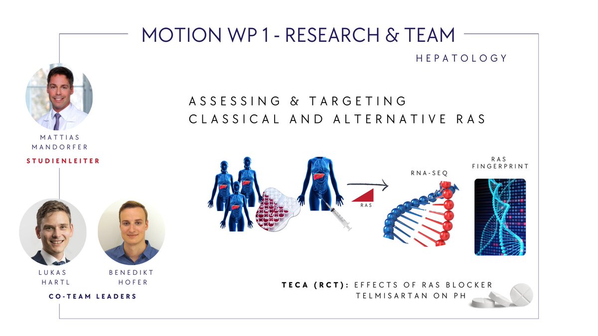 #twitterliver #PortalHypertension
WP1 focuses on the classical &amp; alternative renin-angiotensin system as a disease-driving mechanism in patients with compensated advanced chronic liver disease &amp; investigates potentially beneficial effects of telmisartan in this patient group.⬇️⬇️