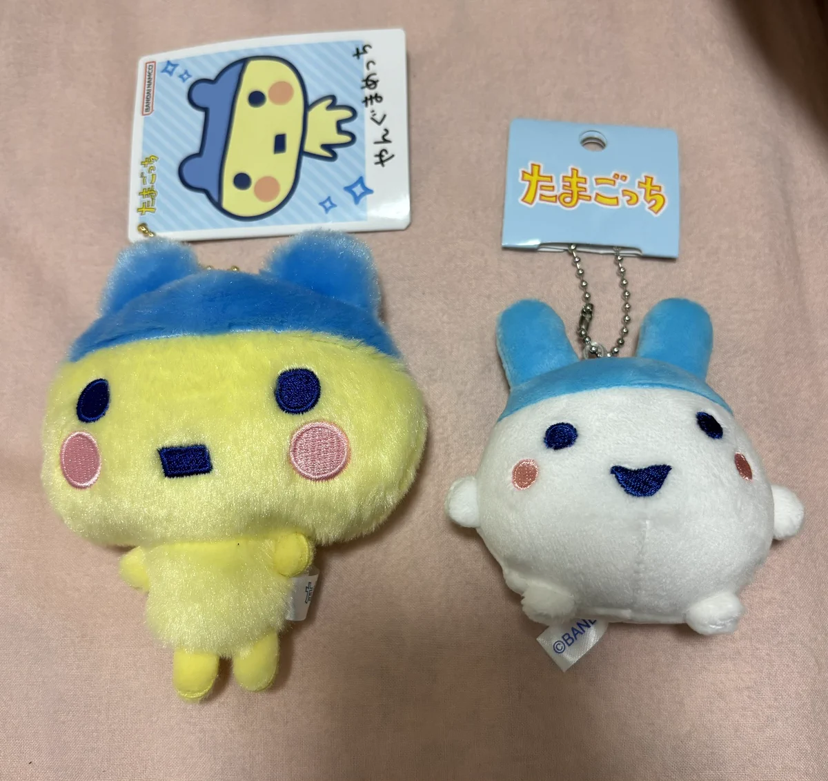 メグっち on X: 