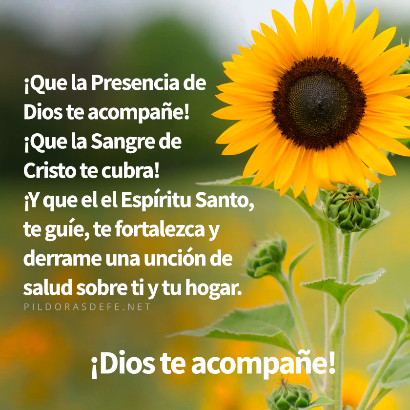 Pildorasdefe's tweet photo. Que la Presencia de Dios
te acompañe y te cuide... https://t.co/oRzPoxwsqM