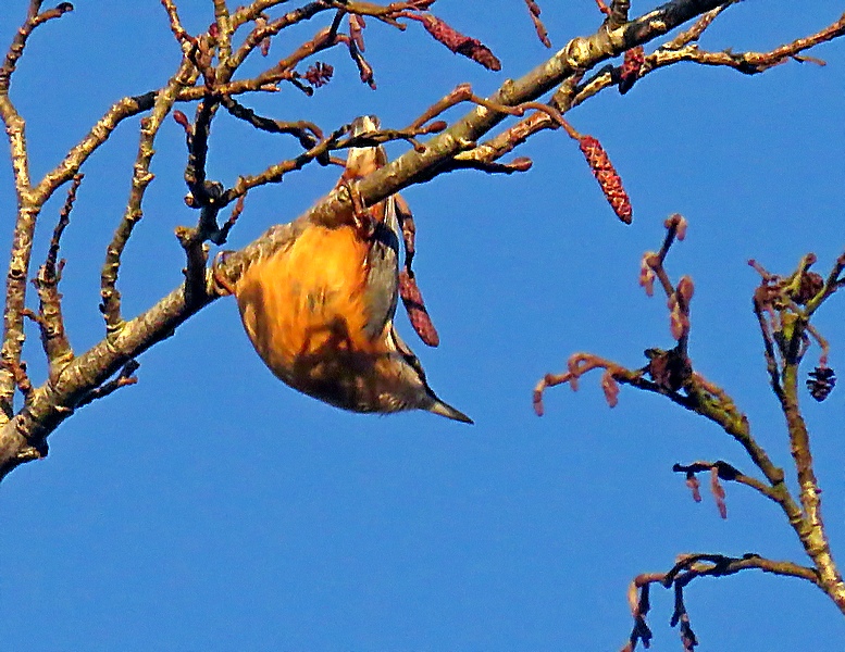 ian ballam tweet media