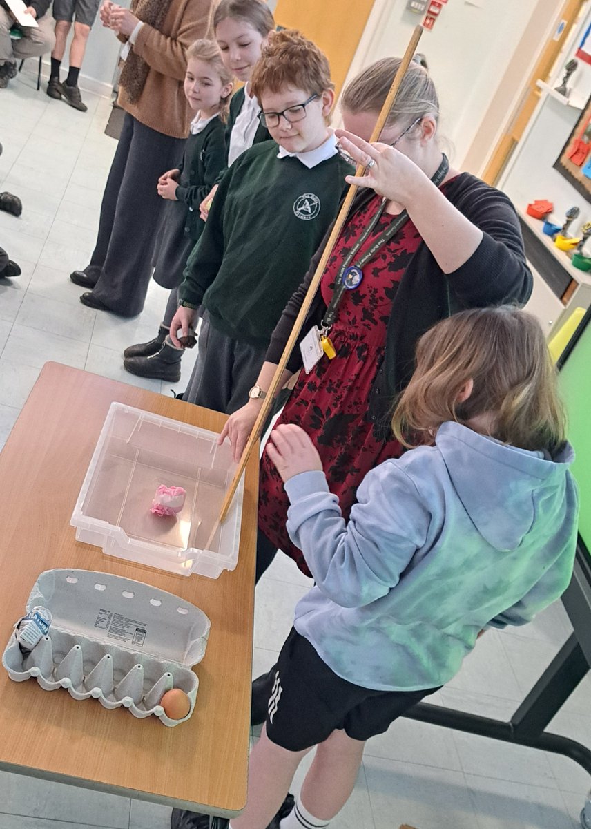 The Butts Primary tweet media