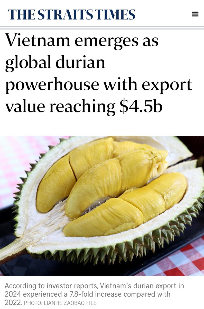 Indonesia durian export: US$1.07 million
Vietnam durian export: US$3.3 billion

When you can’t even compete on durian how do you compete on tech?