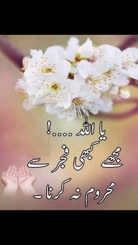 Gul tweet media