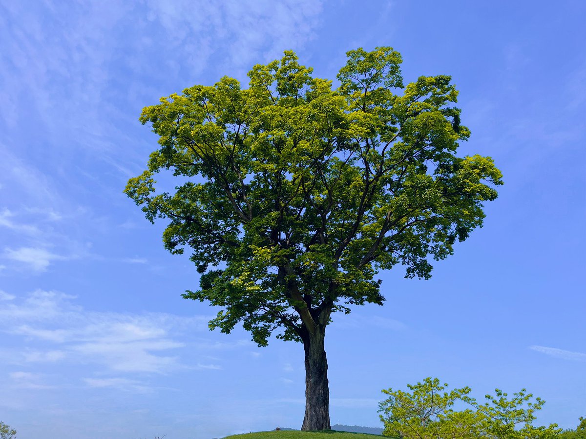 깡둥이🩵 tweet media