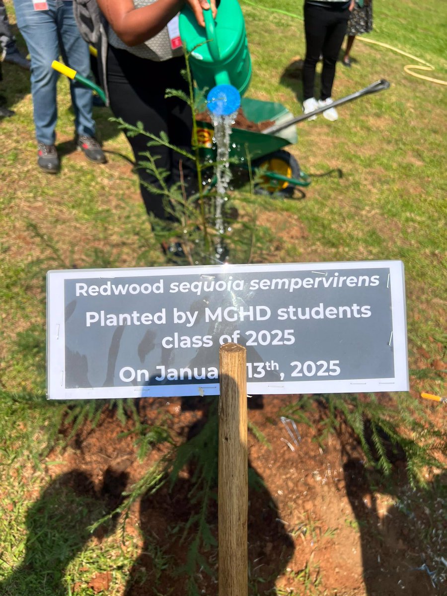 J. Eric Niyitanga (@jeaneric01) on Twitter photo Thrilled to be part of MGHD (Master of science in global Health) at <a href="/ughe_org/">University of Global Health Equity</a> class of 2025, as we planted a tree representing our cohort!
This is an indelible mark and declaration that we have been here! (FYI: Redwood Sequoia can live up to 1000 years) Thrilled to be part of MGHD (Master of science in global Health) at <a href="/ughe_org/">University of Global Health Equity</a> class of 2025, as we planted a tree representing our cohort!
This is an indelible mark and declaration that we have been here! (FYI: Redwood Sequoia can live up to 1000 years)