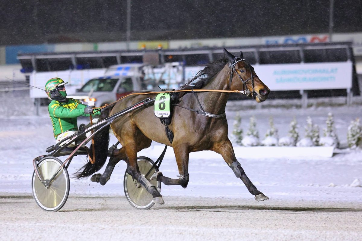 Leppis tänään <a href="/TurunRavit/">Metsämäen ravirata</a> L9/7 rattailla Hannu Torvinen. Lähtöpaikka ulkona joten voi olla vaikea päästä sisäradalle, mikä olisi juoksun kannalta tärkeää. Tsemppiä lähtöön Leppis❣️🐴🩷🐞 (Kuva: Kaisa Stengård 5.12.24 Jokimaa) #callelaladybird #ravit