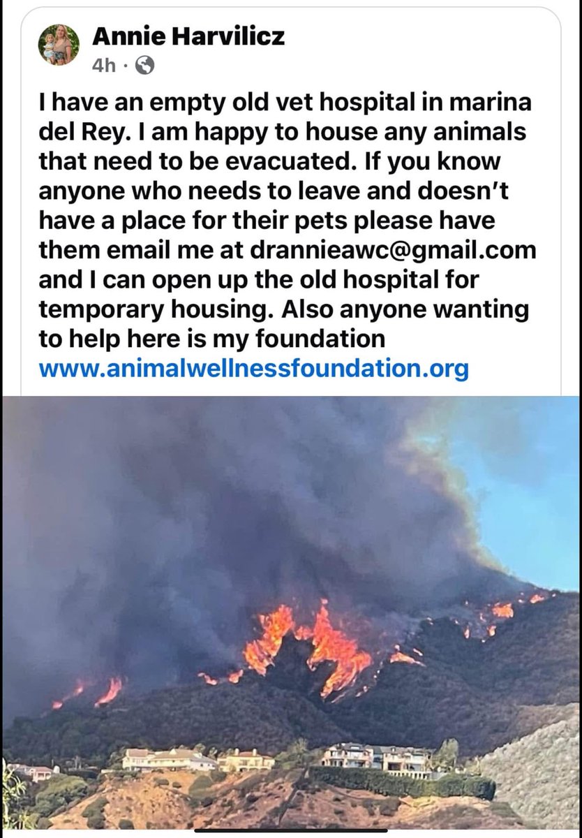 Kat🍄🥃🇺🇸❄️💪 (@leplade) on Twitter photo 