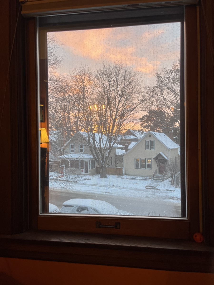 Melody Hoffmann tweet media