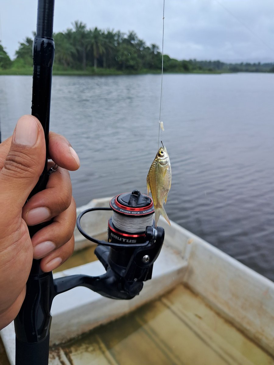 Fishing Pro-Tip:
Sampai spot gua terus target ikan paling senang. Mesti naik seekor dulu. Saiz tak kira. Berangkat pulang, boleh eksyen tak kumpau. Kalau selisih dengan orang boleh jawap, "Ada lah seekor dua.."

Jangan takde langsung.

Follow me for more fishing tips. 
#fishing