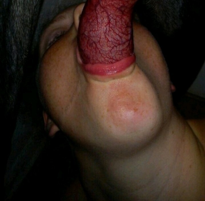 PhynaPolczer's tweet photo. I let my dog goes deep inside me and harder if interested for the full enticing zoophilia videos click on 
TELEGRAM : https://t.co/ASFzSiPWx8

#zoophile #zoosarevalidI
#zoophillia #zoosarevalid #beastiality
#dogknot #zooprideisvalid #zoophile
#antizoo #antizoophileantizoo https://t.co/mgWbGcAYUK