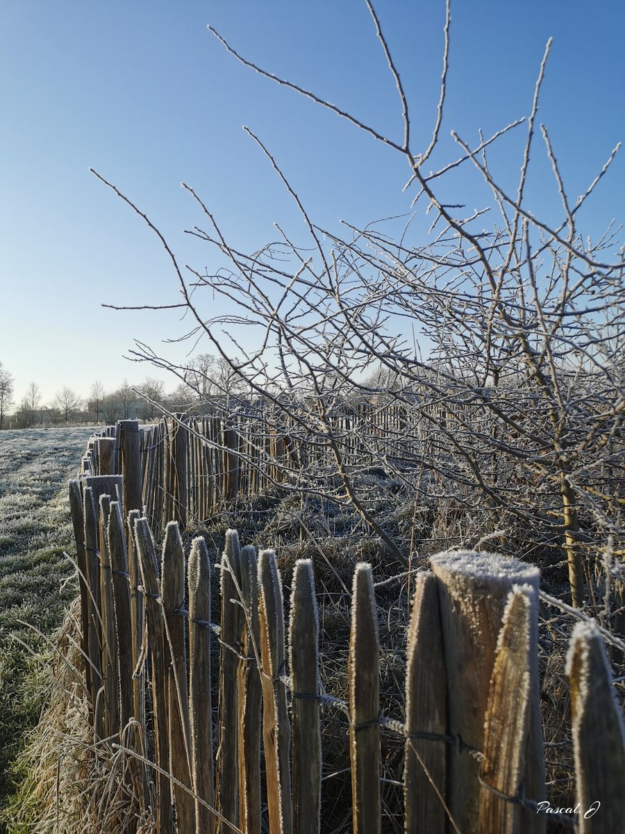 Pascal-35 😉 tweet media