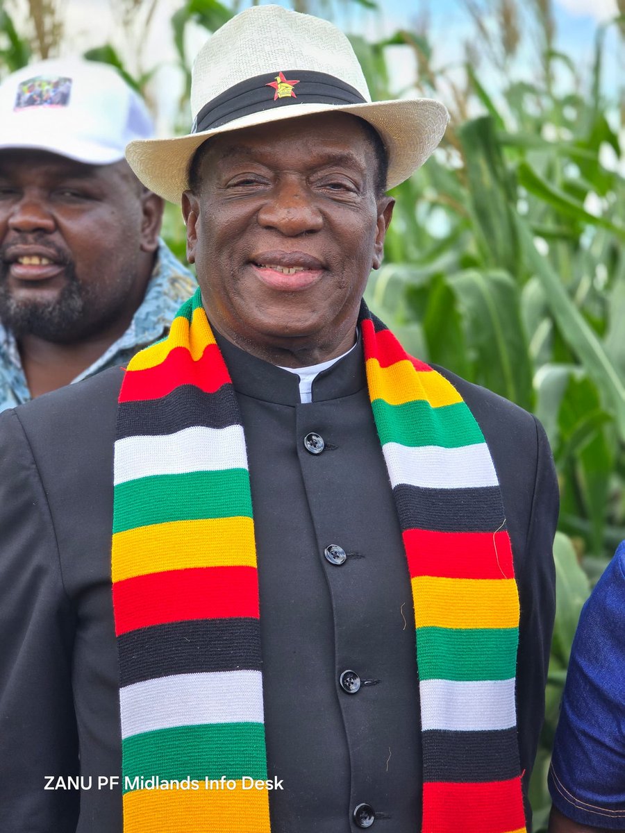 Levison Chambati tweet media