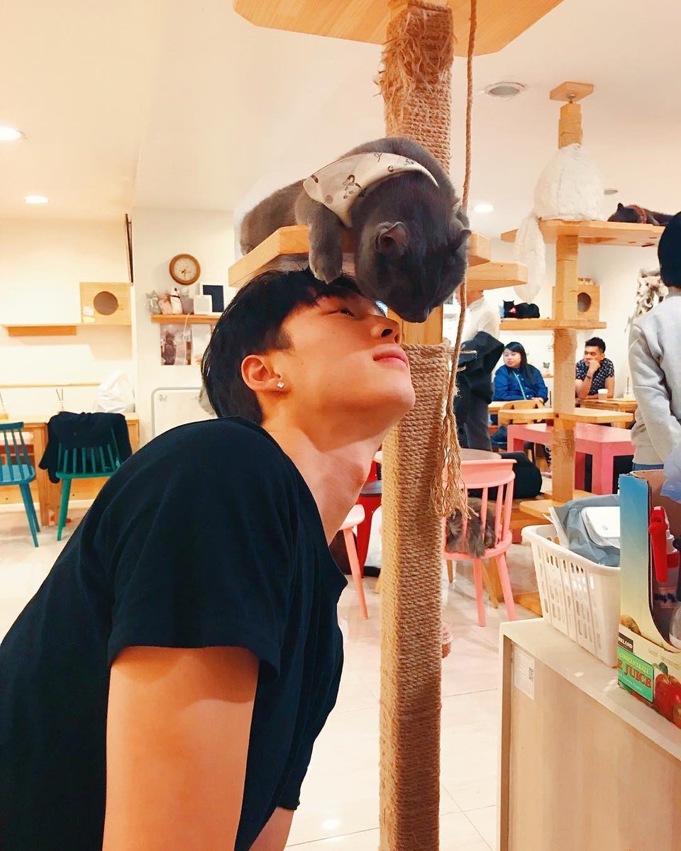 1OAK_edge's tweet photo. ronron! 

- Jihang 🧡 https://t.co/i9pjtyt1o3