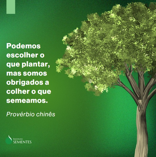sementesorg's tweet photo. Quais sementes você tem nas mãos? 🌱🌳💚

Excelente semana! https://t.co/YHxvetVxsx