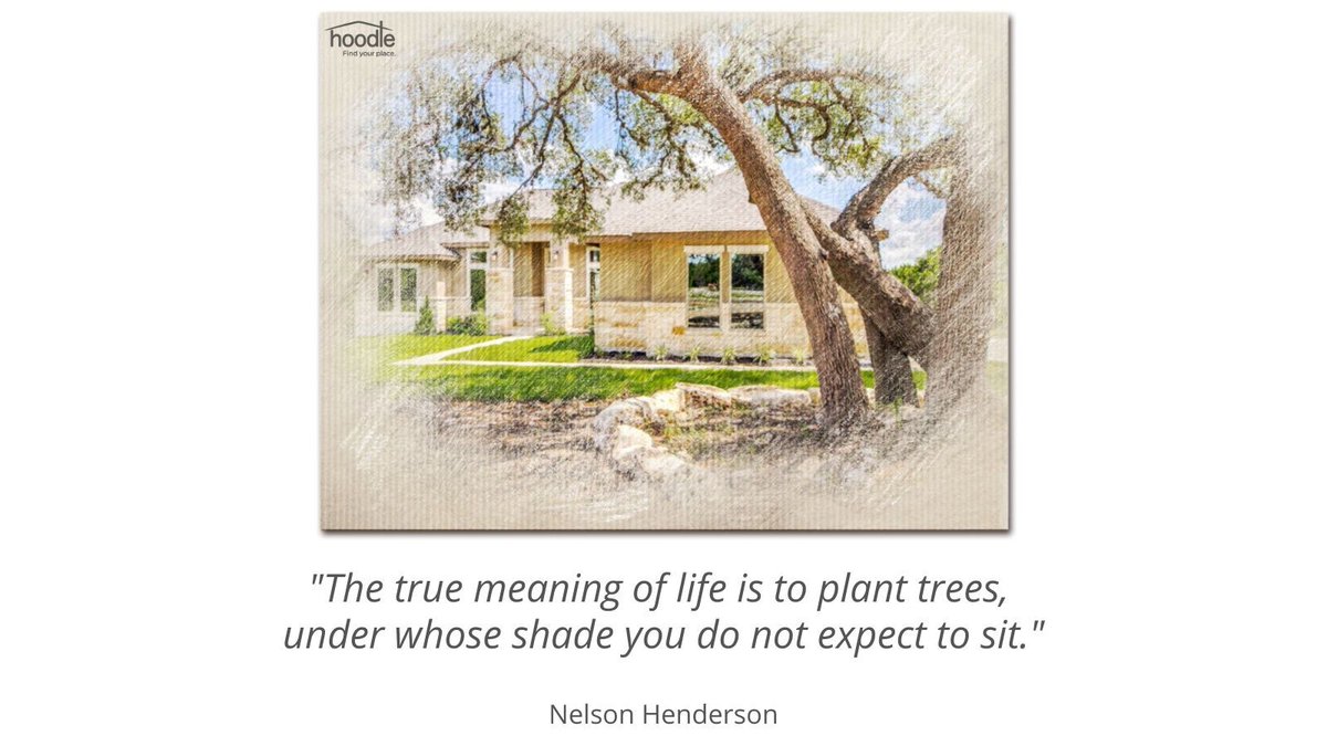 hoodle's tweet photo. "The true meaning of life is to plant trees, under whose shade you do not expect to sit."
-Nelson Henderson 
Belle Oaks is located in Bulverde, TX. https://t.co/TKGloDGBZ0 @dawnloding https://t.co/cCX6EkzJM8