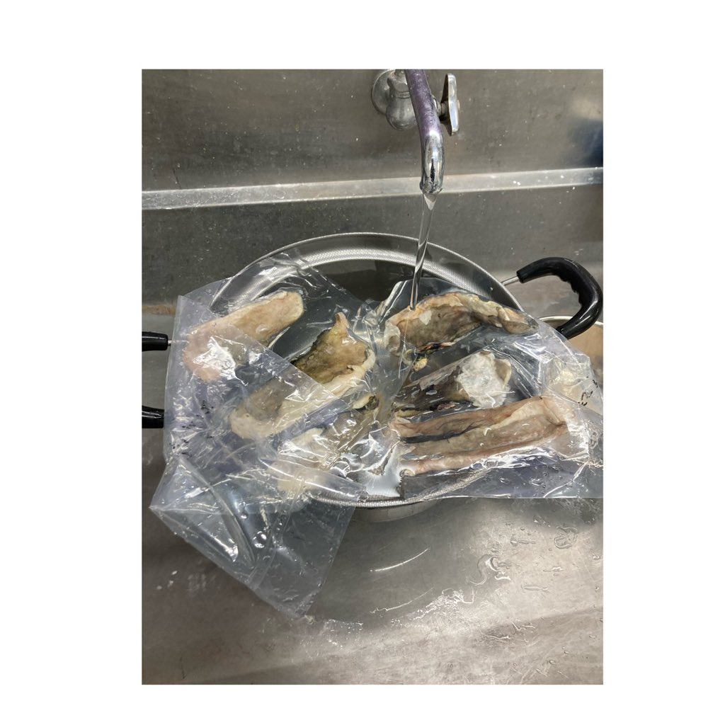 SuzueRyuga's tweet photo. 国産チョウザメの浮き袋を使用したチョウザメ膠を作った。

浮き袋の黒皮をとって掃除した状態で切って、お茶パックに入れて煮込んだ。
100℃で1時間抽出し、ほとんどコラーゲン質は出切ったようだ。

浮き袋の内部は繊維質の層があり、簡単にと取れたが、気になったので、湯どうししてみると、半透明になりどうやらこれからも取れそうだったので、そのまま煮込んだ。

濃度調整はのちのちするとして、247ｇの浮き袋から結構撮ることが出来た。
国産のチョウザメ膠を作っている会社は1社程度しか見かけないのでどんどん作っていきたい。

この後型に入れてカットし乾燥させる。