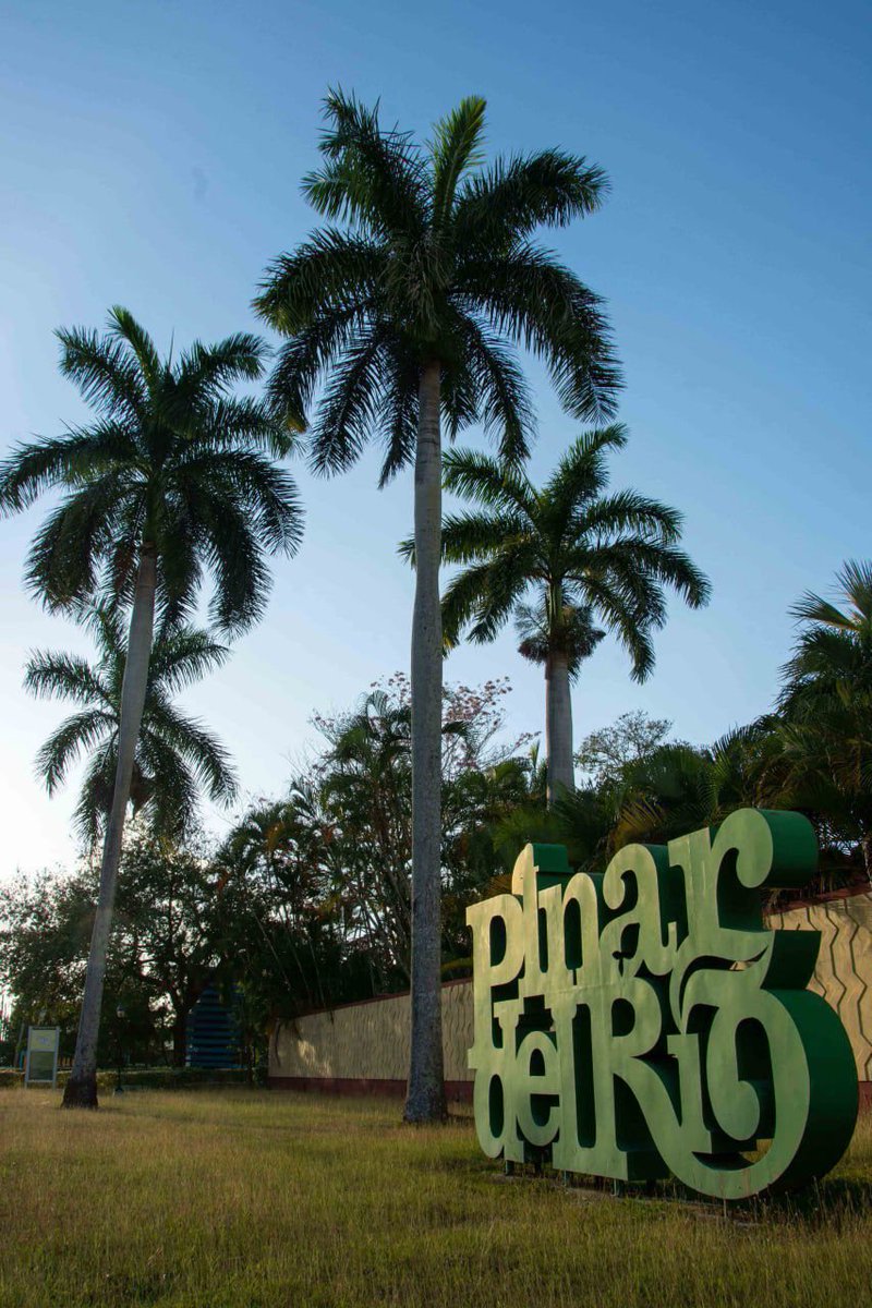 TelePinar's tweet photo. 🇨🇺| Iniciamos la mañana de este #Lunes #13ENE, listos para ponerle al tanto de la actualidad noticiosa.🌸

📲 Síguenos por todas nuestras redes sociales y tendrás a la mano toda la información de #PinardelRío, #Cuba y el mundo 🌎 

#TelePinarInforma con vida propia https://t.co/TjUP0NY3Ap