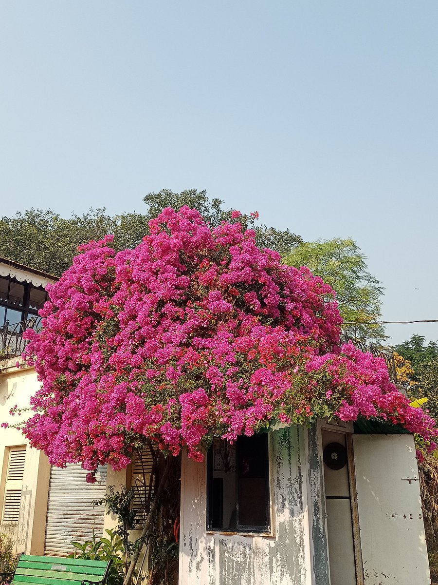 AdityaBadone's tweet photo. Malabar Hill, Mumbai📍 https://t.co/CphgQZVTBh
