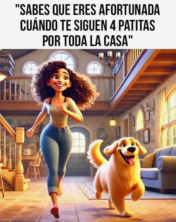 Perrosenlacalle's tweet photo. https://t.co/MQK669bydu