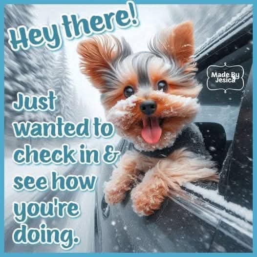Junkdogstrash's tweet photo. Proudly Serving Greensboro &amp; Beyond! – Junk Dogs Trash Removal: The local choice for reliable, eco-friendly junk removal. • Voted #1 on Nextdoor! Experience the junk removal service your neighbors trust! Call/Text us at 336-615-5813 Junkdogstrashremoval@gmail.com https://t.co/ZMQ72b4CQi