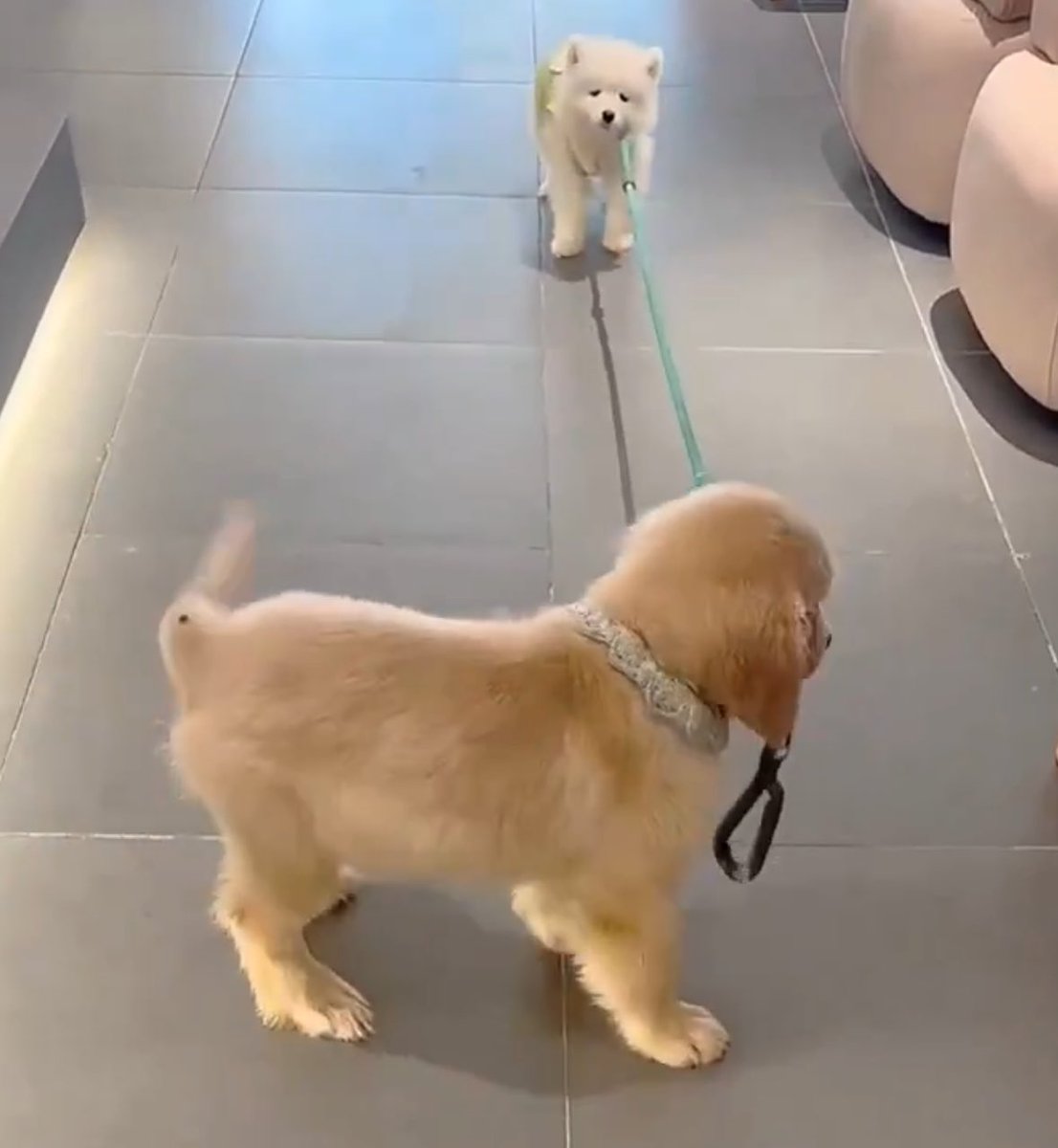 บ้บ tweet media