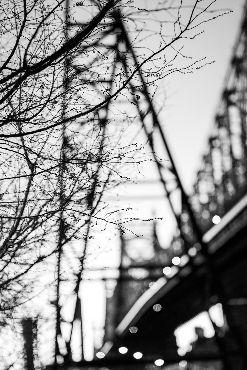 btc_21's tweet image. NYC 

#nycstreet #streetphoto #newyork #nyc #usa