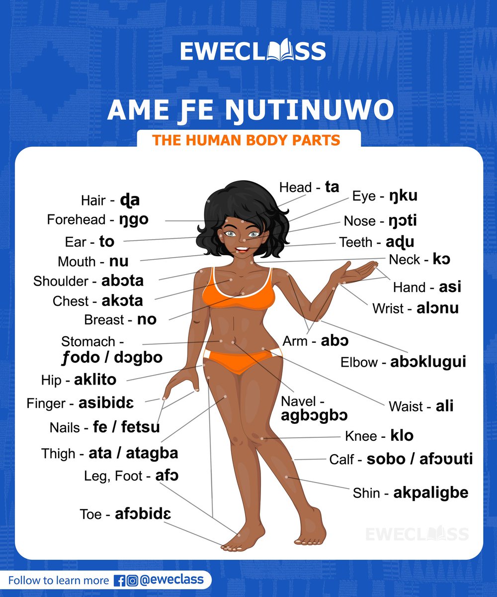 ewepride's tweet photo. The Human Body Parts (Ame Ƒe Ŋutinuwo)
#EweClass #EwePride #EweLanguage #LearnEwe #Ewe https://t.co/rj2rGbZ9tF