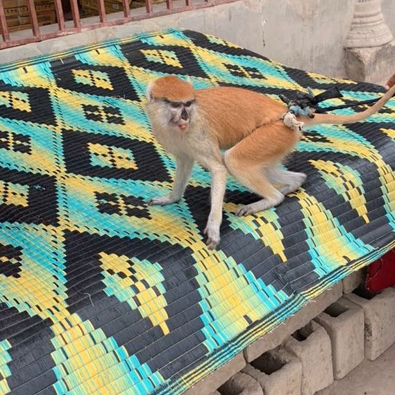 sambujang389968's tweet image. 