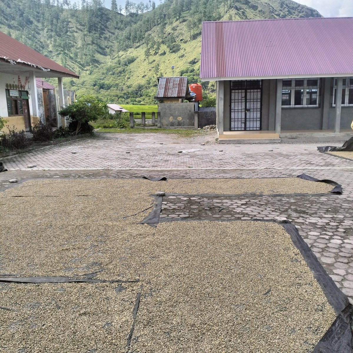 AritoSaragih's tweet photo. Kopi Arabika Gayo Aceh. Murah meriah.... https://t.co/9ZUHnOcmYf