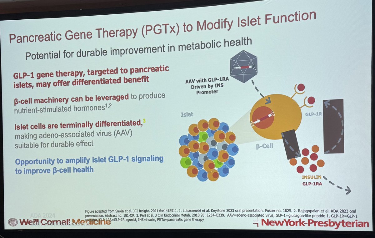 Uma Mahadevan (@umamahadevanibd) on Twitter photo Gene therapy with GLP1 injection into pancreas for weight loss. One and done? Exciting data presented by <a href="/ReemSharaiha/">Reem Sharaiha, MD MS</a> <a href="/GuildConference/">GUILD Conference</a> Gene therapy with GLP1 injection into pancreas for weight loss. One and done? Exciting data presented by <a href="/ReemSharaiha/">Reem Sharaiha, MD MS</a> <a href="/GuildConference/">GUILD Conference</a>