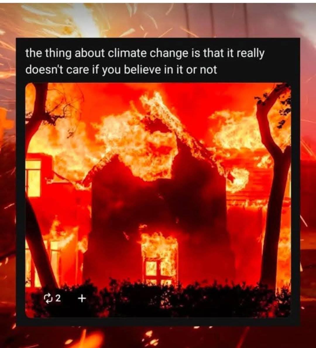 Shelley Essaunce tweet media