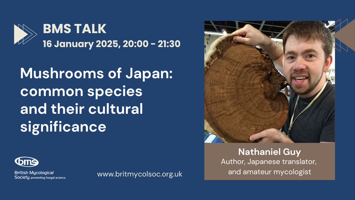 There's still time to book for this week's BMS Talk! Nathaniel Guy will explain the unique role fungi play in Japanese cuisine, folklore, language, art and daily life. Taking place this Thursday at 20:00, online, free - Book now: eventbrite.co.uk/e/1098938086399