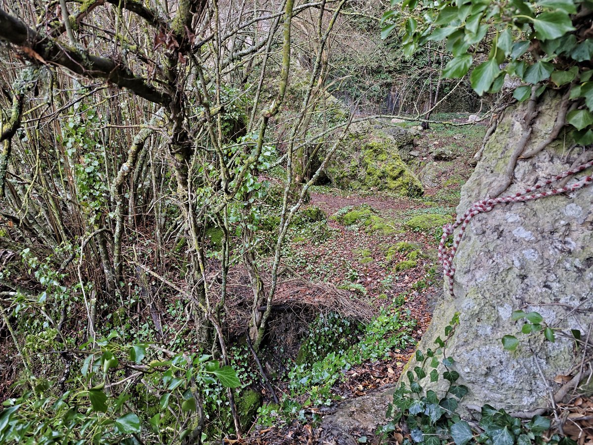 JAVIERELENAGAR1's tweet photo. En busca de la Huella Perdida 👣
📍@geoloras
#TrailRuin #LasLoras #Montorio #Geoparque https://t.co/RXTKJQGRTE