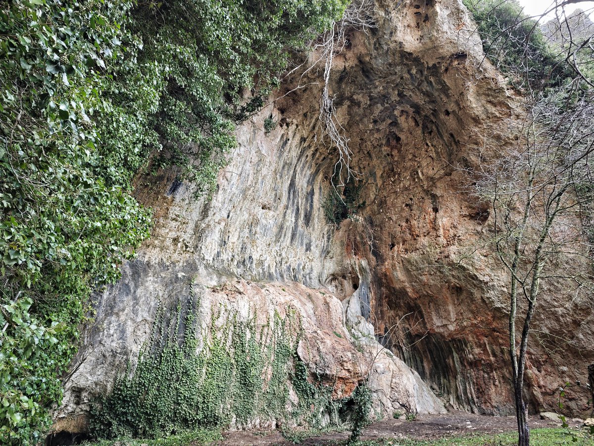 JAVIERELENAGAR1's tweet photo. En busca de la Huella Perdida 👣
📍@geoloras
#TrailRuin #LasLoras #Montorio #Geoparque https://t.co/RXTKJQGRTE