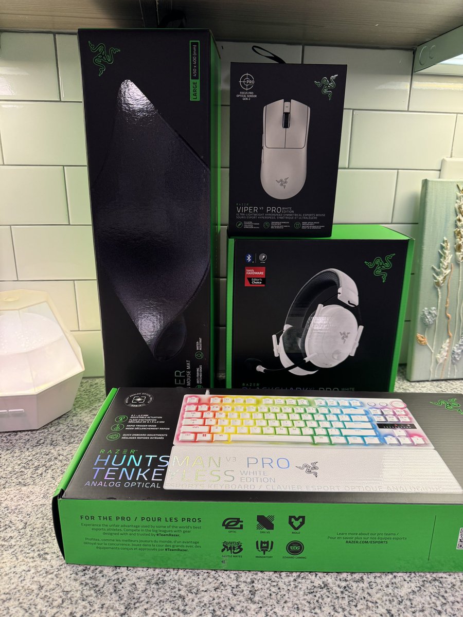 Very grateful to <a href="/Razer/">R Λ Z Ξ R</a> for support me and community with top tier devices, they are feeling much more premium than any other brands. Big thanks to <a href="/itsbellorie/">bel 🏆👻</a> for make it happen! Can't wait to test it on the server💚