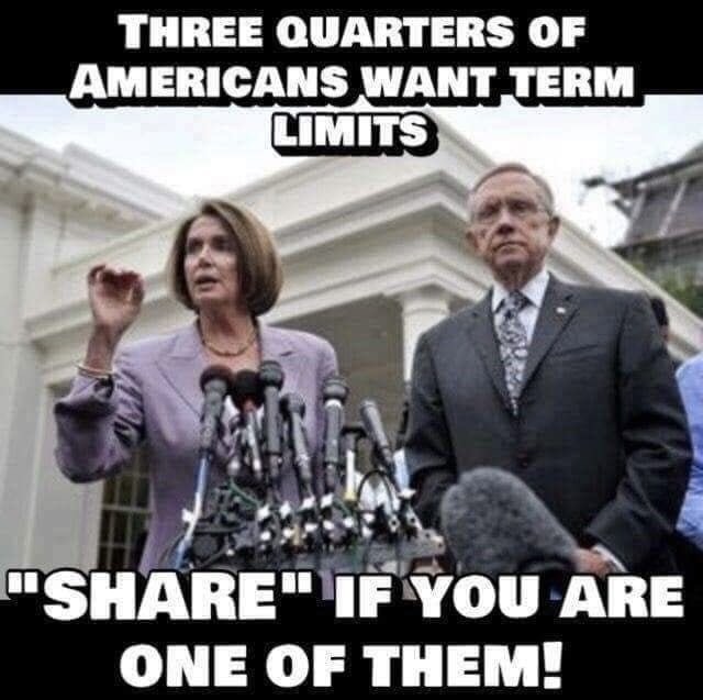 We definitely need term limits. What do you think?