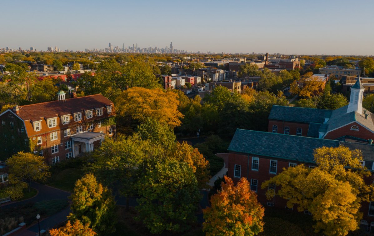 Ramon Palma tweet media