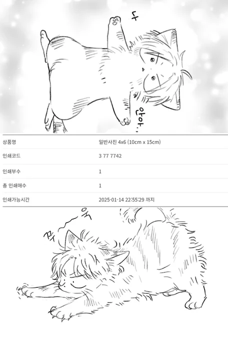 신냥이 프박입니다!  
1) 재연장 2) 요청하신 프박(잘라쓰는용도)
이정도면 됐겠지 헉헉 프박은 유료 양도 절대 금지합니다!! 